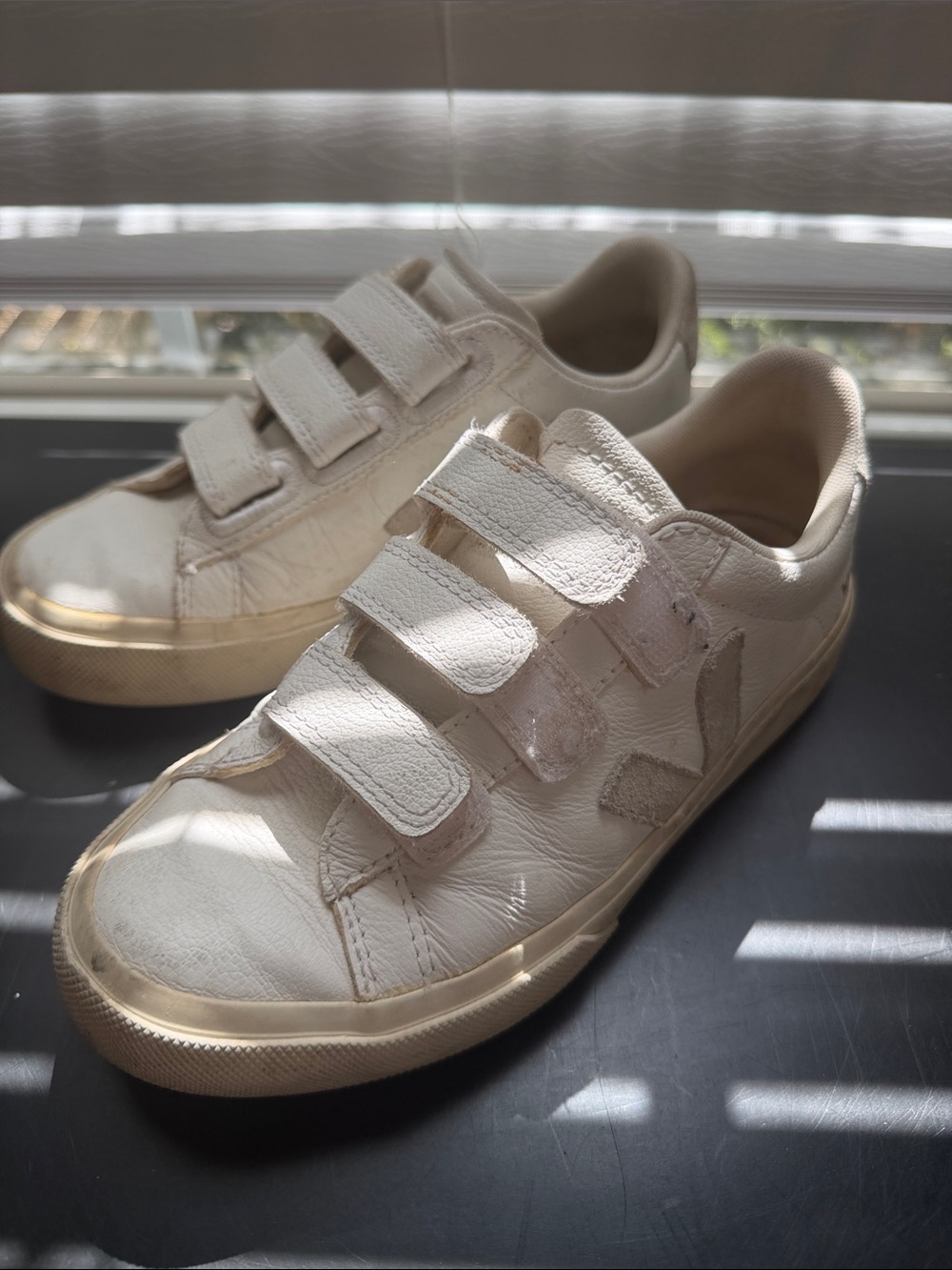 veja recife sneaker